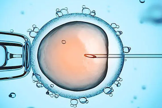 捐卵的流程21天避孕药（捐卵的流程和对人的影响）